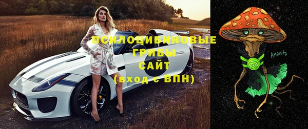 apvp Горняк