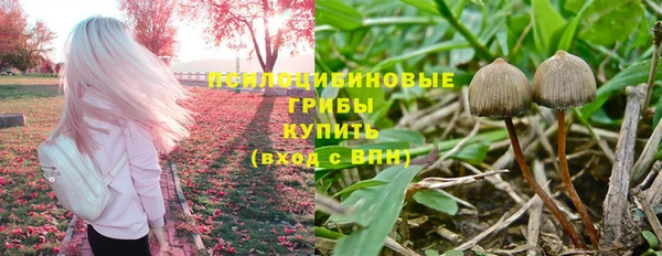 амфетамин Горнозаводск