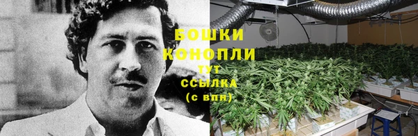 apvp Горняк