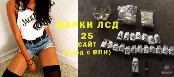 apvp Горняк